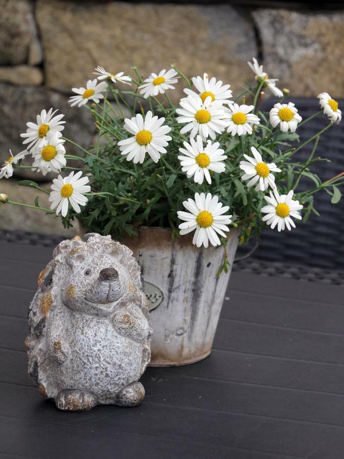 Huberhof Farm stay *